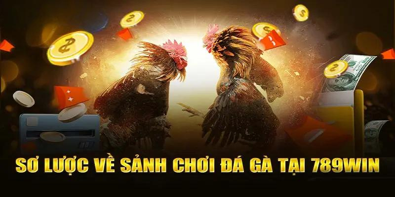 Sơ lược về Đá Gà 789WIN