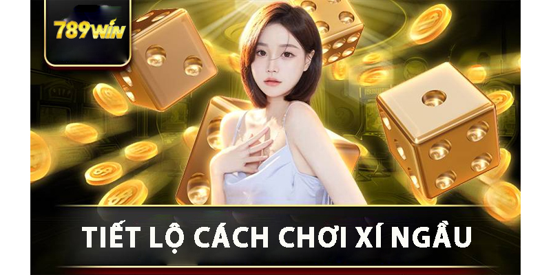 Tiết lộ cách chơi xí ngầu 789win cho người chơi.