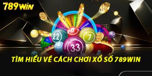 Tìm hiểu về Cách chơi xổ số 789win